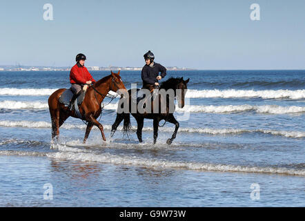 Course - Joes Edge Gallop - Redcar Beach.Joes Edge (à droite) et le jockey Graham Lee avec Spring Breeze et le jockey PJ McDonald complètent leur préparation sur la plage de Redcar à Cleveland. Banque D'Images