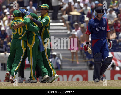 Paul Collingwood, de l'Angleterre, revient au pavillon alors que l'Afrique du Sud célèbre le match de la coupe du monde de cricket de l'ICC au Kensington Oval, à Bridgetown, à la Barbade. Banque D'Images