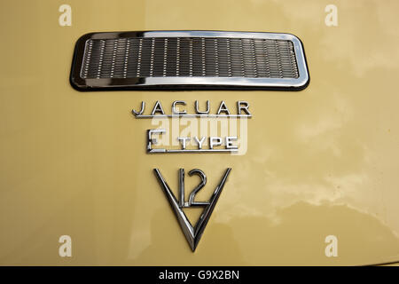 Lettrage classique sur Jaguar Type E V12, classic car Banque D'Images