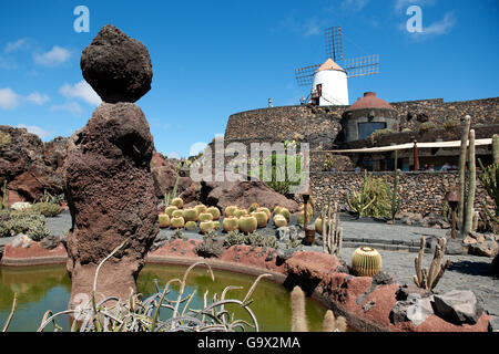 Jardin de cactus, Guatiza, Tguise, Lanzarote, Canary Islands, Spain, Europe / Guatiza Banque D'Images