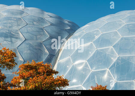 Eden Project à l'automne Banque D'Images