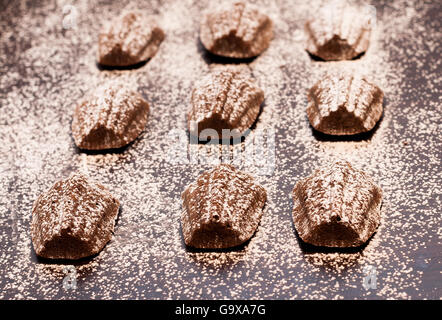 Gâteau Madeleine saupoudrée de sucre en poudre sur fond sombre Banque D'Images