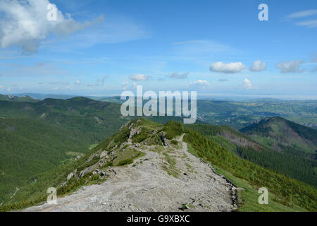 Vue vers Zakopane de trail à Gąsienicowa valley de Tatras en Pologne Banque D'Images