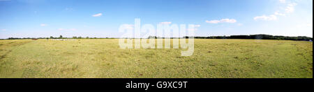 De vastes régions rurales colorful paysage panoramique avec troupeau de bovins gris hongrois des vaches et des chevaux sur prairie contre ciel bleu avec clou Banque D'Images