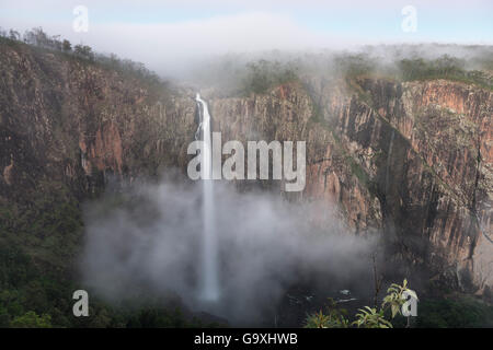 Wallaman Falls, la plus haute chute d'eau goutte à goutte permanent en Australie. Girringun National Park. Ingham, Queensland, Australie. Banque D'Images