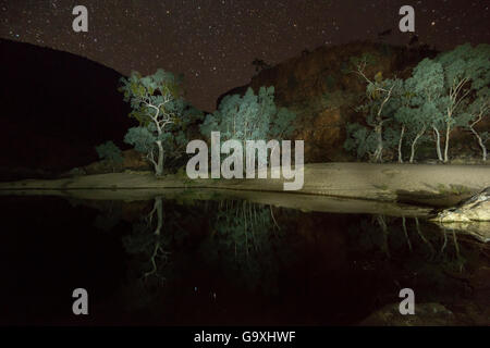 Petit lac reflétant les arbres et ciel étoilé, Ormiston Gorge West MacDonnell Ranges Alice Springs, Alice Springs, Territoire du Nord, Australie. Banque D'Images