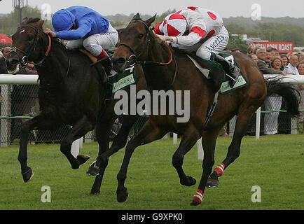 Les courses de chevaux - Newbury Banque D'Images