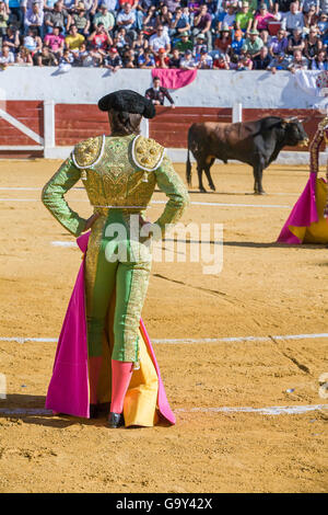 Andujar, Espagne - 12 septembre 2008 : l'espagnol Torero Sébastien Castella la corrida avec la béquille dans l'Arène de Banque D'Images