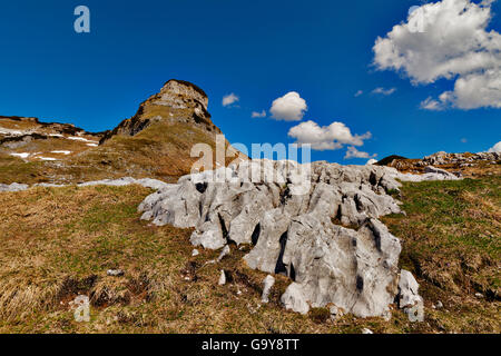 Mt. Perdant, Ausseerland, Styrie, Autriche, Europe Banque D'Images