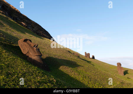 Moai statues, Rano Raraku, Rapa Nui ou l'île de Pâques, Chili, Amérique du Sud Banque D'Images