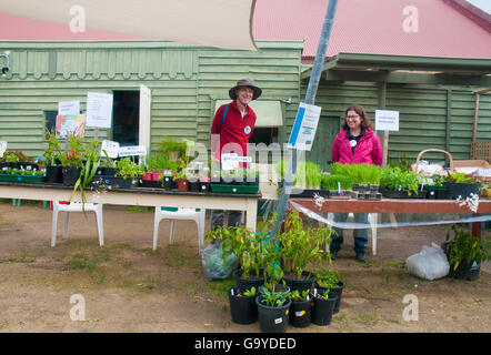 Stade bénévoles une journée portes ouvertes dans un jardin communautaire dans la banlieue de Melbourne, en Australie, en profitant de l'élection fédérale du scrutin dans la salle adjacente. Banque D'Images