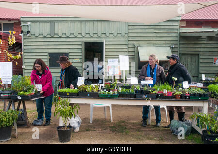 Stade bénévoles une journée portes ouvertes dans un jardin communautaire dans la banlieue de Melbourne, en Australie, en profitant de l'élection fédérale du scrutin dans la salle adjacente. Banque D'Images