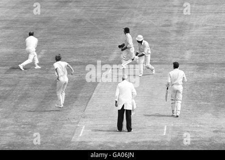 Cricket - Rasage de près Banque D'Images