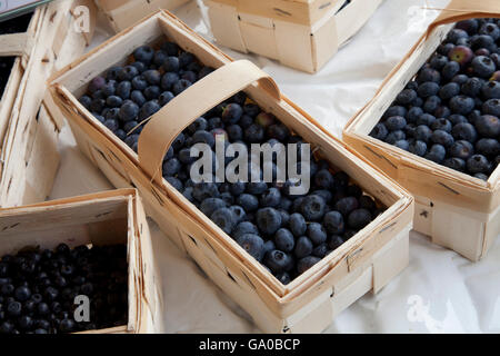 Paniers de bleuets sur le marché, Dortmund, région de la Ruhr, en Rhénanie du Nord-Westphalie, PublicGround Banque D'Images