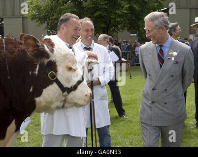 Le Prince de Galles au salon des trois comtés de Malvern, dans le Worcestershire, où il observe le jugement des Bulls d'Hereford. Banque D'Images