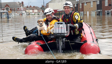 Des inondations frappent la Grande-Bretagne.Les pompiers sauve un chien alors que les eaux d'inondation se dressent dans le bar à péage près de Doncaster, dans le Yorkshire du Sud. Banque D'Images