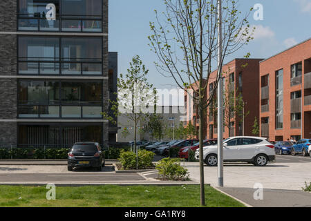 Des logements modernes dans les domaines de la régénération urbaine,nouveau Gorbals, Glasgow, Écosse, Royaume-Uni, Banque D'Images