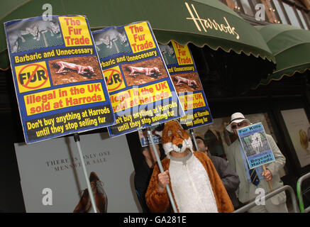Un manifestant vêtu d'un renard, lors d'une manifestation contre la fourrure devant Harrods le jour d'ouverture de sa vente d'été, à Londres SW1X 7SL Banque D'Images