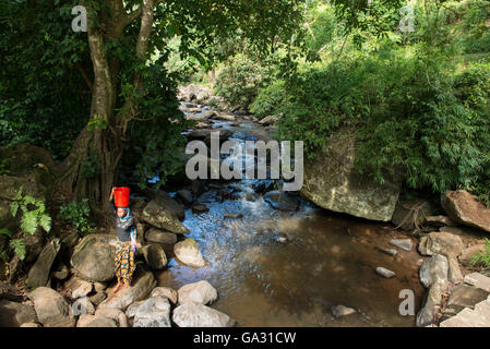 Femme à aller chercher de l'eau d'une rivière, la Réserve Naturelle d'Amani, Tanzanie Banque D'Images