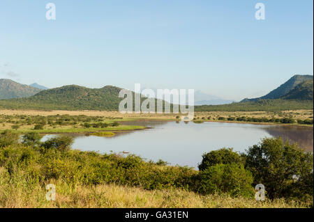 Barrage Dindira et vue sur le mont Kilimandjaro, le parc national de Mkomazi, Tanzanie Banque D'Images