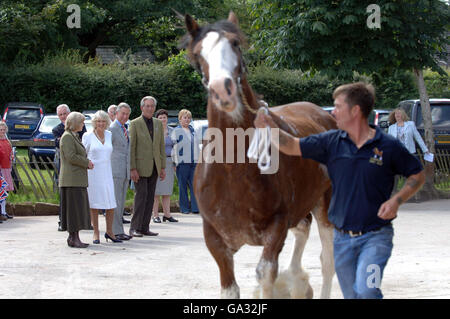 HRH le prince de Galles et la duchesse de Cornwall regardent une exposition de la trotting lors de la visite d'aujourd'hui au Cotebrook Shire Horse Center et au Country Park à Cheshire. Banque D'Images