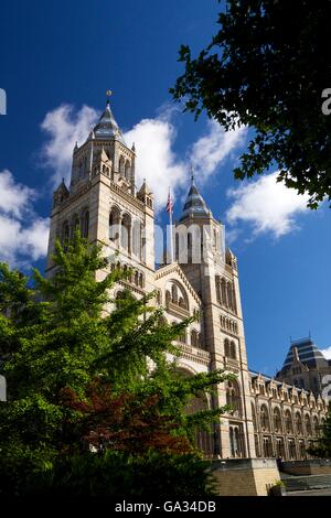 Natural History Museum, South Kensington, London, England, UK, FR, British Isles, Europe Banque D'Images