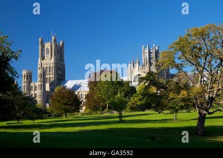 Cathédrale d'Ely en fin d'après-midi soleil, Église de la sainte et indivise Trinité, Cambridgeshire Angleterre GO UK Banque D'Images