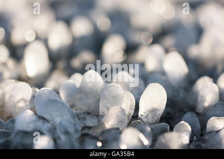 Peu de glaçons ronde formé autour de feuilles d'herbe sur le terrain Banque D'Images