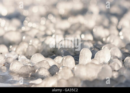 Peu de glaçons ronde formé autour de feuilles d'herbe sur le terrain Banque D'Images