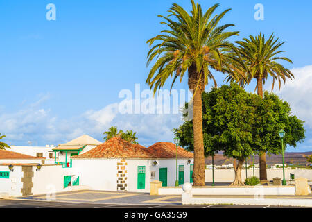 Palmiers sur place avec maisons de style Canarien typique village Yaiza, Lanzarote, îles Canaries, Espagne Banque D'Images