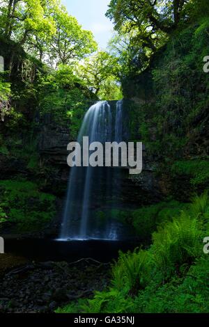 Henrhyd Falls, parc national de Brecon Beacons, Wales, UK, FR, DE L'Europe Banque D'Images