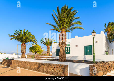 Palmiers et de maisons typiques des Canaries à Las Brenas village, Lanzarote, îles Canaries, Espagne Banque D'Images