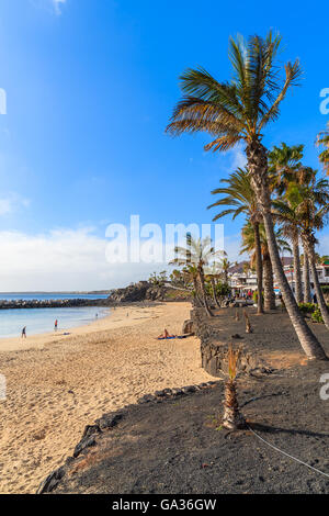 Flamingo Beach avec des palmiers à Playa Blanca maison de village sur la côte de l'île de Lanzarote, Espagne Banque D'Images