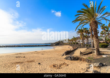 Flamingo Beach avec des palmiers à Playa Blanca maison de village sur la côte de l'île de Lanzarote, Espagne Banque D'Images