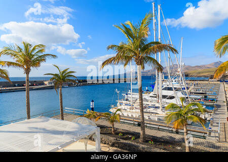 Palmiers à Puerto Calero marina construit dans le style des Caraïbes, l'île de Lanzarote, Espagne Banque D'Images
