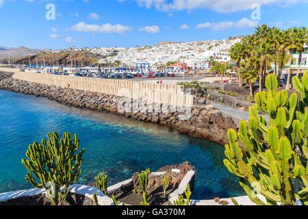 PUERTO DEL CARMEN, LANZAROTE ISLAND - Jan 17, 2015 : Vert plantes tropicales et voir de Puerto del Carmen, ville située sur la côte de l'île de Lanzarote. Canaries sont une destination touristique populaire. Banque D'Images