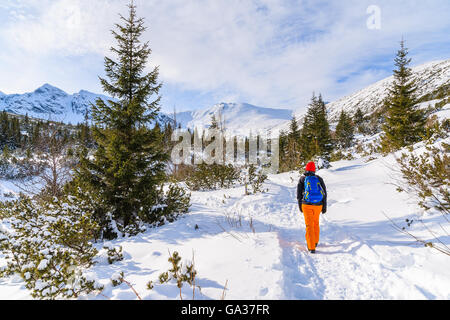 Jeune femme backpacker'marche sur sentier de randonnée en hiver paysage de vallée Gąsienicowa, Tatras, Pologne Banque D'Images