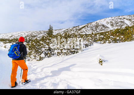 Jeune femme backpacker tourisme sentier de randonnée en hiver paysage de vallée Gąsienicowa, Tatras, Pologne Banque D'Images