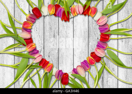 Coeur de tulipe sur fond de bois blanc Banque D'Images
