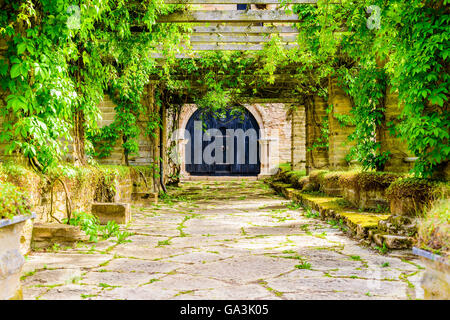 Portail en bois très ancien, la porte ou dans un bâtiment ancien et un passage couvert de végétation qui y mène. Banque D'Images