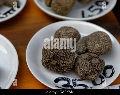 Truffes noires en traiteur, centre historique, Gubbio, Ombrie, Italie Banque D'Images