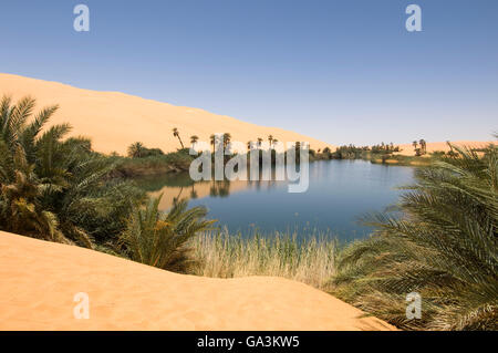 Oum El Ma, Erg Awbari lac, désert du Sahara, Fezzan, Libye, Afrique du Nord Banque D'Images