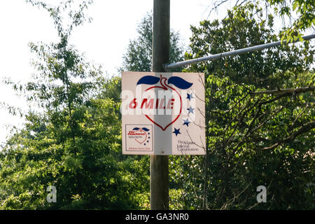 ATLANTA, GÉORGIE - Juillet 4, 2015 : Les participants à la Peachtree Road Race - La plus grande course de 10k dans le monde, tenue chaque année le Banque D'Images