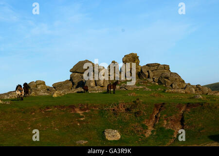 Os magnifique hill Rocks à Dartmoor, dans le Devon, situé juste au-dessus de Widecombe-dans-le-Moor un bel endroit pour se promener et explorer Banque D'Images