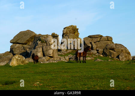 Os magnifique hill Rocks à Dartmoor, dans le Devon, situé juste au-dessus de Widecombe-dans-le-Moor un bel endroit pour se promener et explorer Banque D'Images