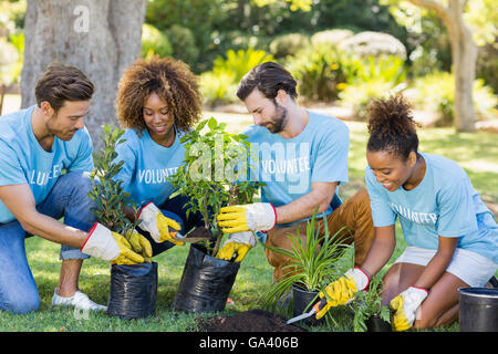 La plantation de Bénévolat de groupe Banque D'Images