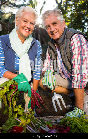 Portrait of happy couple jardiniers avec les produits agricoles en Banque D'Images