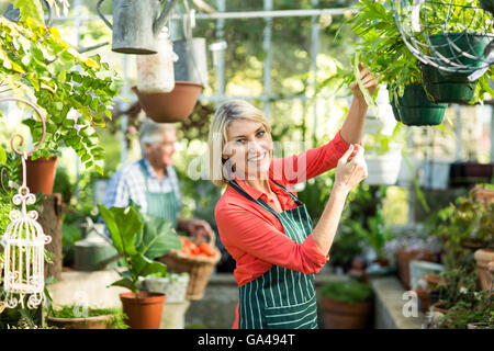 Femme mature à l'inspection des plantes en pot les émissions de Banque D'Images