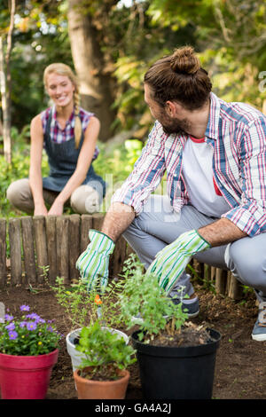 Heureux jardiniers planter au jardin Banque D'Images