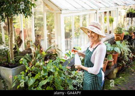 Happy female gardener watering plants Banque D'Images